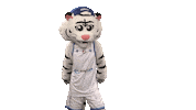 Swipe Up Donar Groningen Sticker by Donar Official