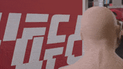Mma Punch GIF by UFC
