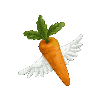 Dogfood Karotte Sticker by velivery