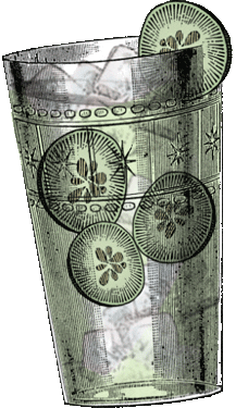 Celebrate Gin And Tonic Sticker by HENDRICK'S GIN