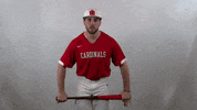 Wheelingu GIF by WU Cardinals