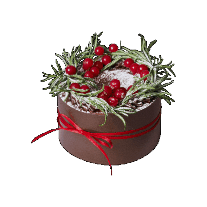 Christmas Cake Sticker by Cafe Knotted