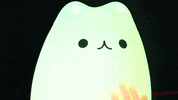Cat GIF by Odd Creative