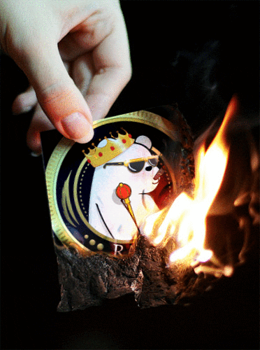 Fire Burn GIF by SuperRareBears