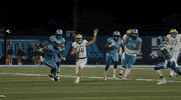 College Sports Football GIF by Delaware Blue Hens