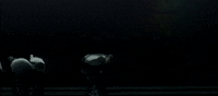 Echoes GIF by English National Ballet