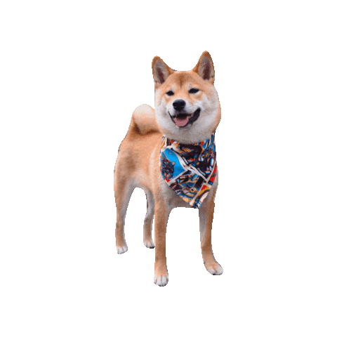 Star Wars Sticker by Geekster Pets