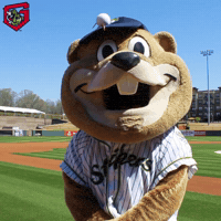 chopper yes GIF by Gwinnett Stripers