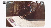 skatesauce  GIF