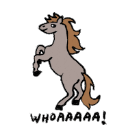 Bucking Horseback Riding Sticker by Aerie