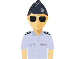 Fach Sticker by Fuerza Aérea de Chile