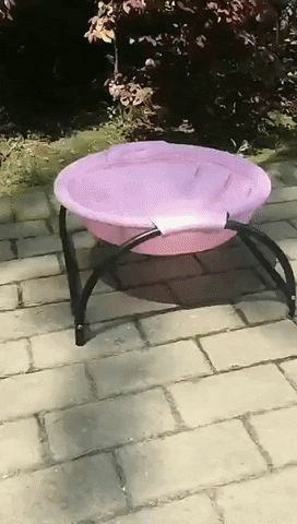 Pja9701 giphyupload GIF