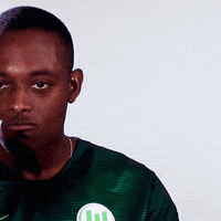 france football GIF by VfL Wolfsburg