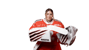 Celebrate Las Vegas Sticker by Swiss Ice Hockey