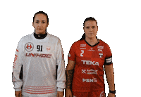 Floorball Sticker by Český florbal