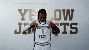 Georgia Tech Adidas GIF by Georgia Tech Yellow Jackets