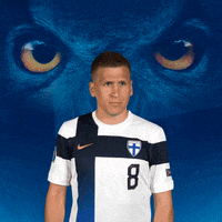 Euro Cup Football GIF by Huuhkajat