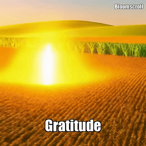 Wisdom Gratitude GIF by Bloomscroll