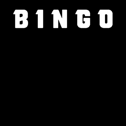 JayBingoBeer bingo bingo beer co bingo lager bingo beer GIF