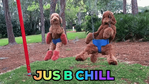 Jus B Chill GIF by Justin - Find & Share on GIPHY