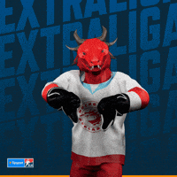 Hockey Hokej GIF by Tipsport extraliga