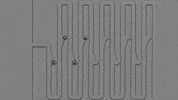 biology cells GIF by MIT 