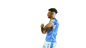 Rugby League Football Sticker by Gold Coast Titans