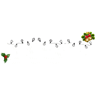 New Zealand Christmas Sticker by More FM