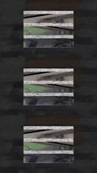 cattura video vhs outside cattura GIF