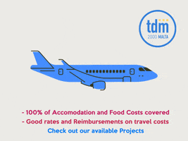 TDM2000Malta malta tdm2000 tdm2000malta maltaprojects GIF