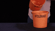 GIF by Giffffr