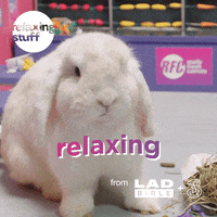 Bunny Eating GIF by Relaxing Stuff