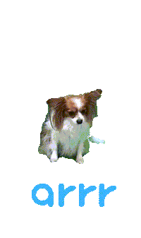 아르르 Sticker by arrr_official