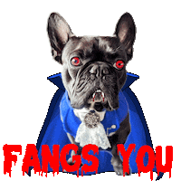 French Bulldog Thank You Sticker by Pimp Yo Pets