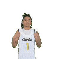 Mens Basketball Sticker by Clarke University