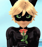 Chat Noir Mlb GIF