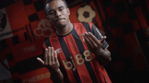 Premier League Football GIF by AFC Bournemouth