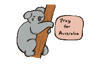 Australia Koala Sticker by cypru55