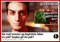 Evrim Ağacı GIF