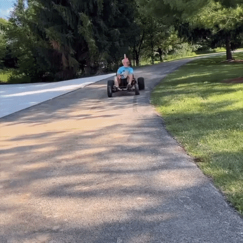 MoLight finger middle finger the bird GIF