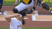 Major League Baseball Sport GIF by MLB