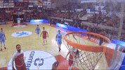 liga endesa basketball GIF by ACB