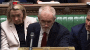 news uk british brexit parliament GIF