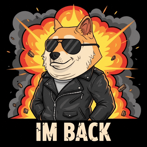 Im Back Shiba Inu GIF by Doge Pound
