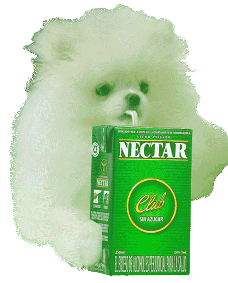 AguardienteNectarOficial nectar aguardiente guaro aguardientenectar Sticker