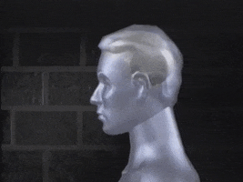 hauntedvault comedy joke head stupid GIF