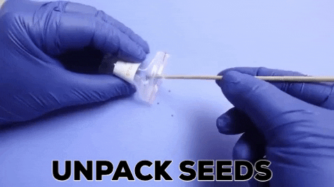 Elitehomeimage giphygifmaker GIF