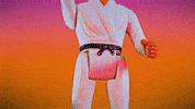Karate Kid Reaction GIF