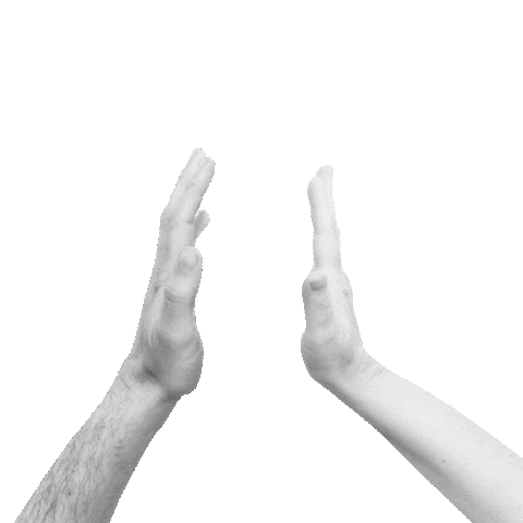 sarahthepalmer yes hands congratulations high five Sticker