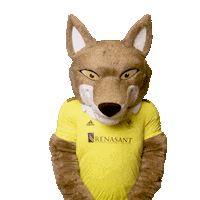 Time Watch Sticker by Nashville SC